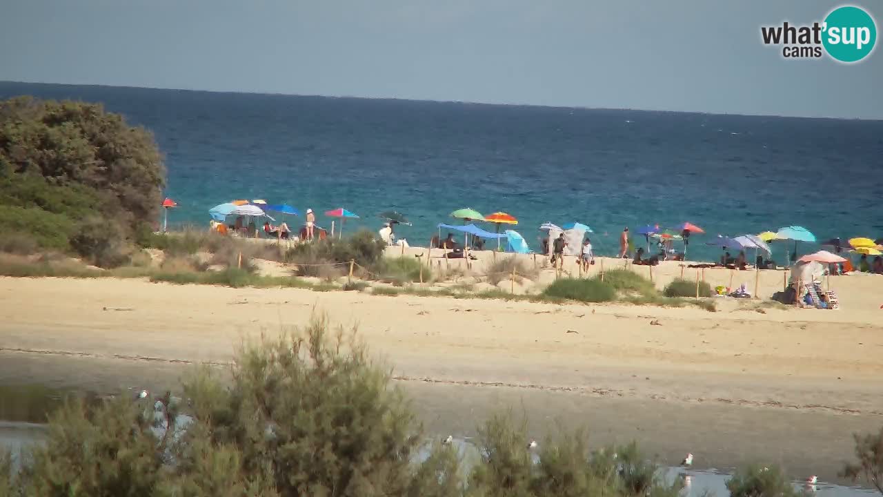 Webcam Chia – Live View of Su Giudeu Beach