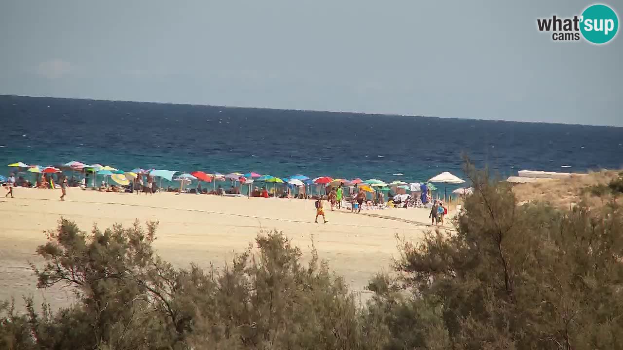 Webcam Chia – Live View of Su Giudeu Beach