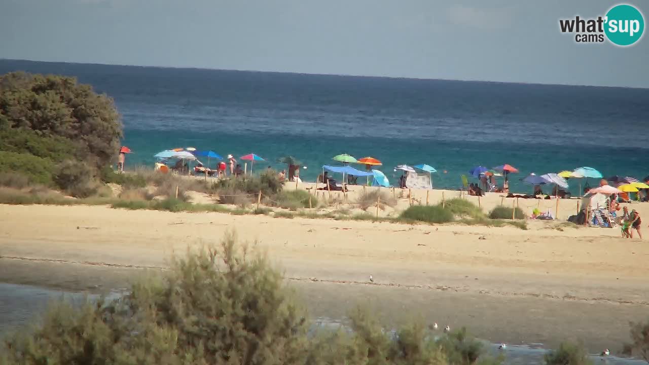 Spletna kamera Chia – Pogled v živo na plažo Su Giudeu