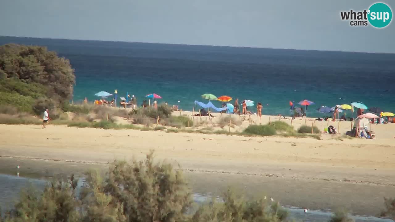 Web kamera Chia – Pogled uživo na plažu Su Giudeu