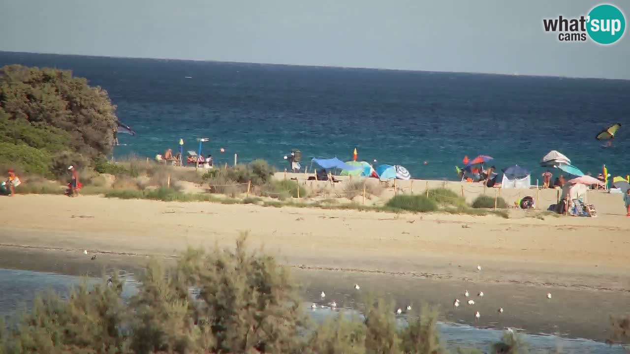 Webcam Chia – Live View of Su Giudeu Beach