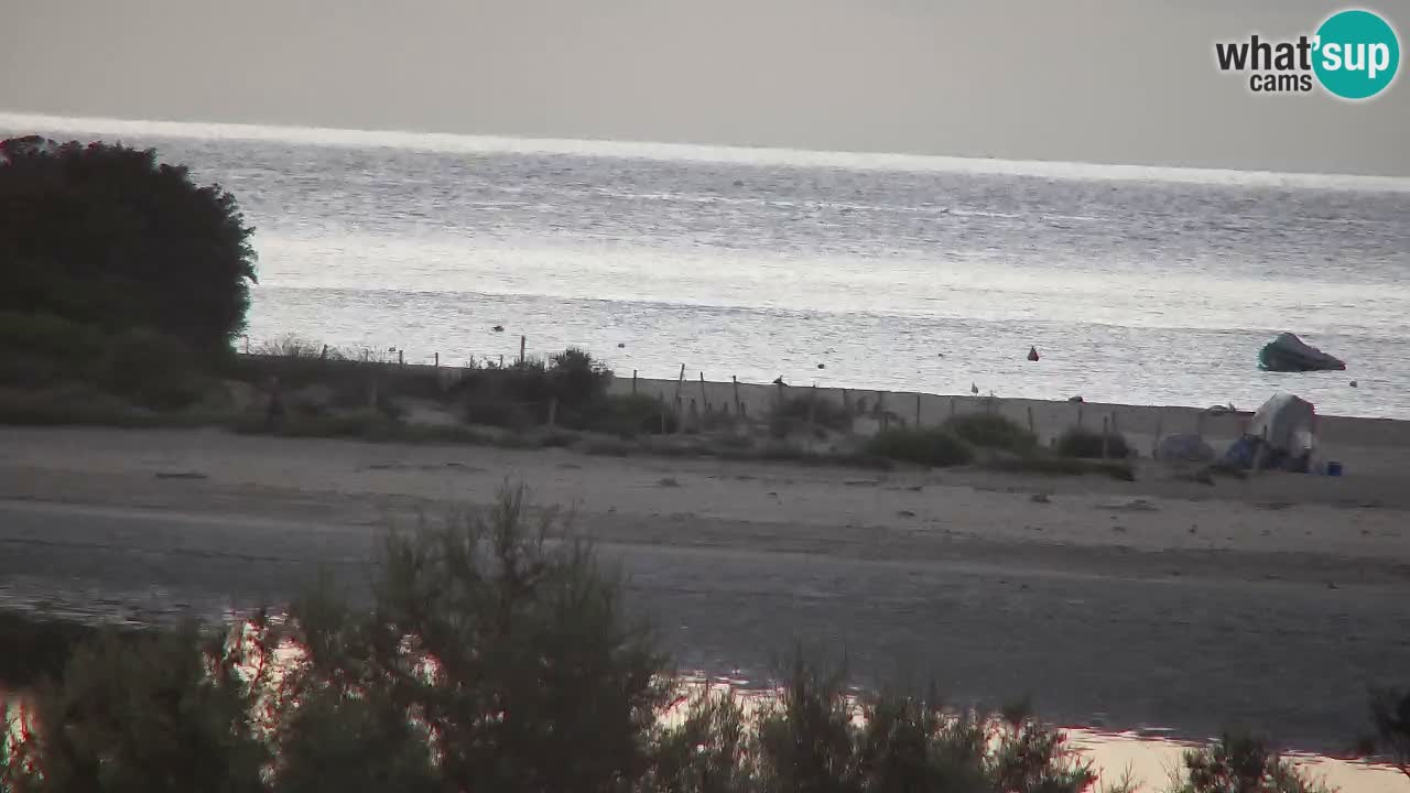Webcam Chia – Vue en direct de la plage Su Giudeu