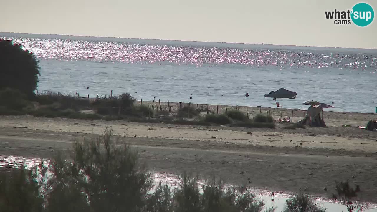 Webcam Chia – Vue en direct de la plage Su Giudeu