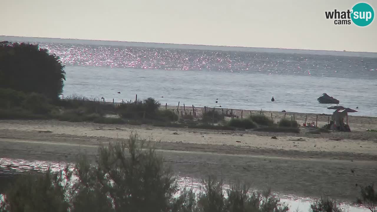 Webcam Chia – Vista en directo de la playa Su Giudeu