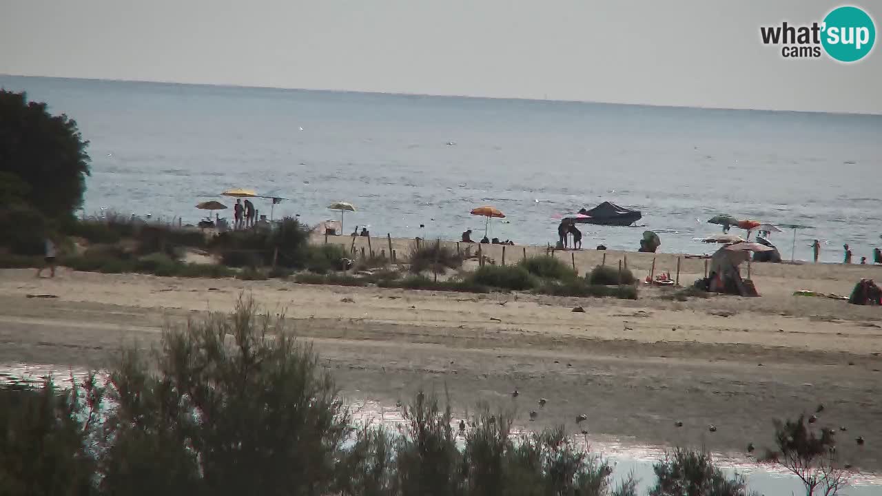 Spletna kamera Chia – Pogled v živo na plažo Su Giudeu