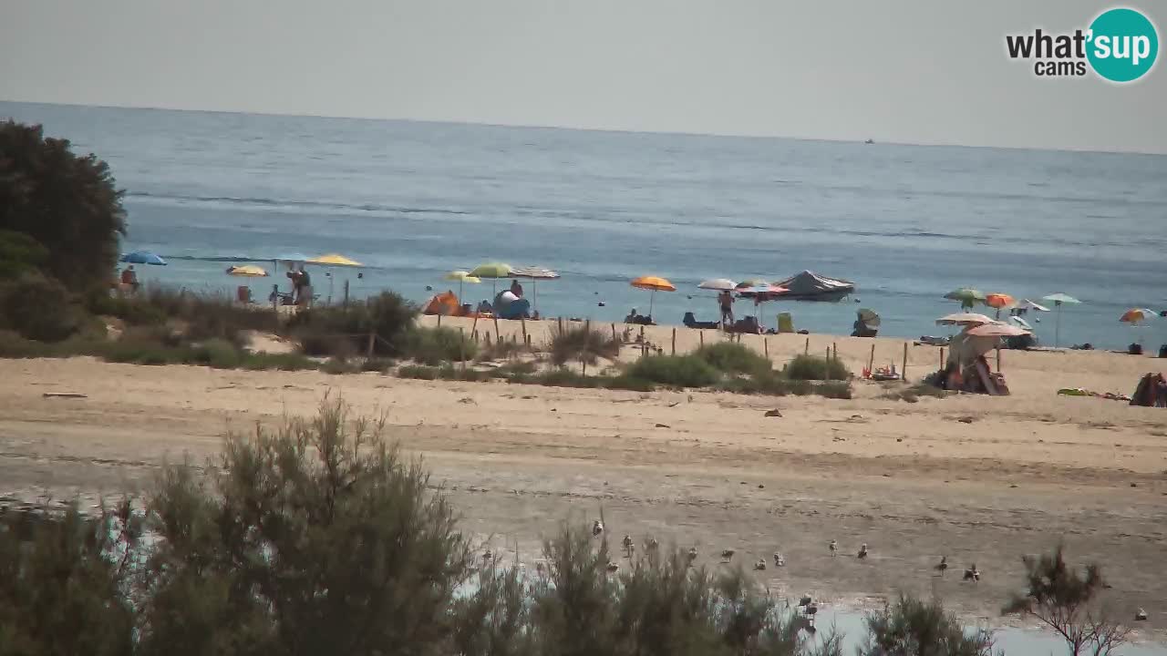 Webcam Chia – Vue en direct de la plage Su Giudeu