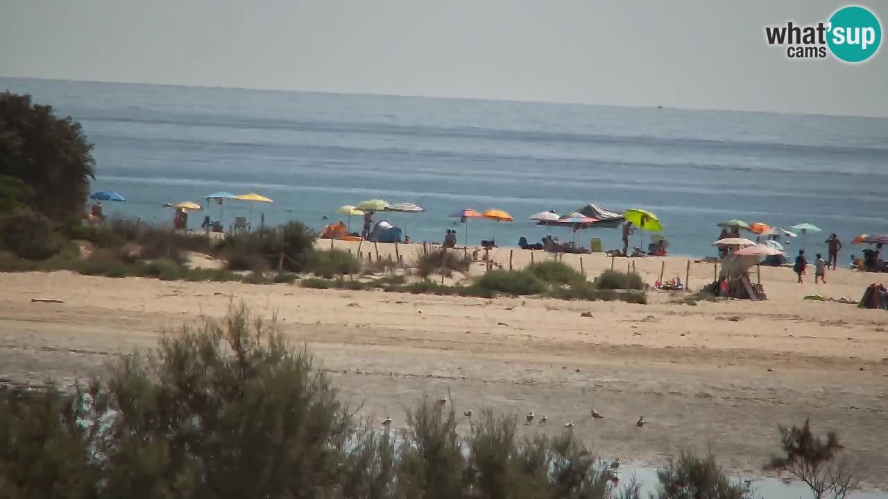 Webcam Chia – Vista en directo de la playa Su Giudeu