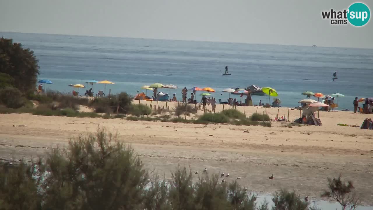 Webcam Chia – Vue en direct de la plage Su Giudeu