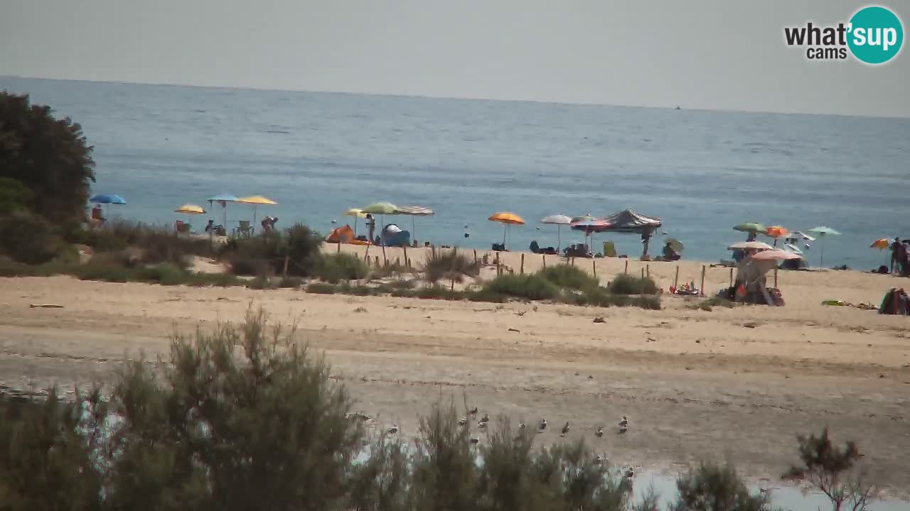 Webcam Chia – Live View of Su Giudeu Beach