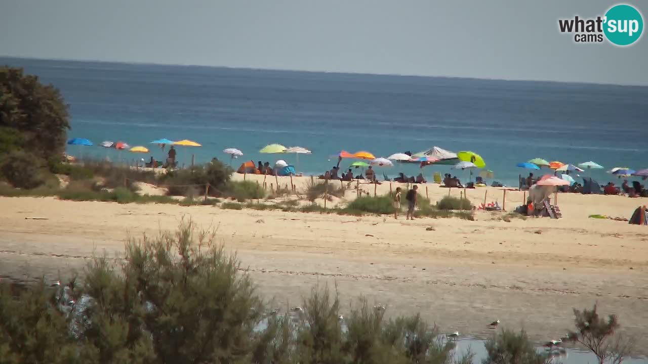 Webcam Chia – Liveblick auf den Strand Su Giudeu