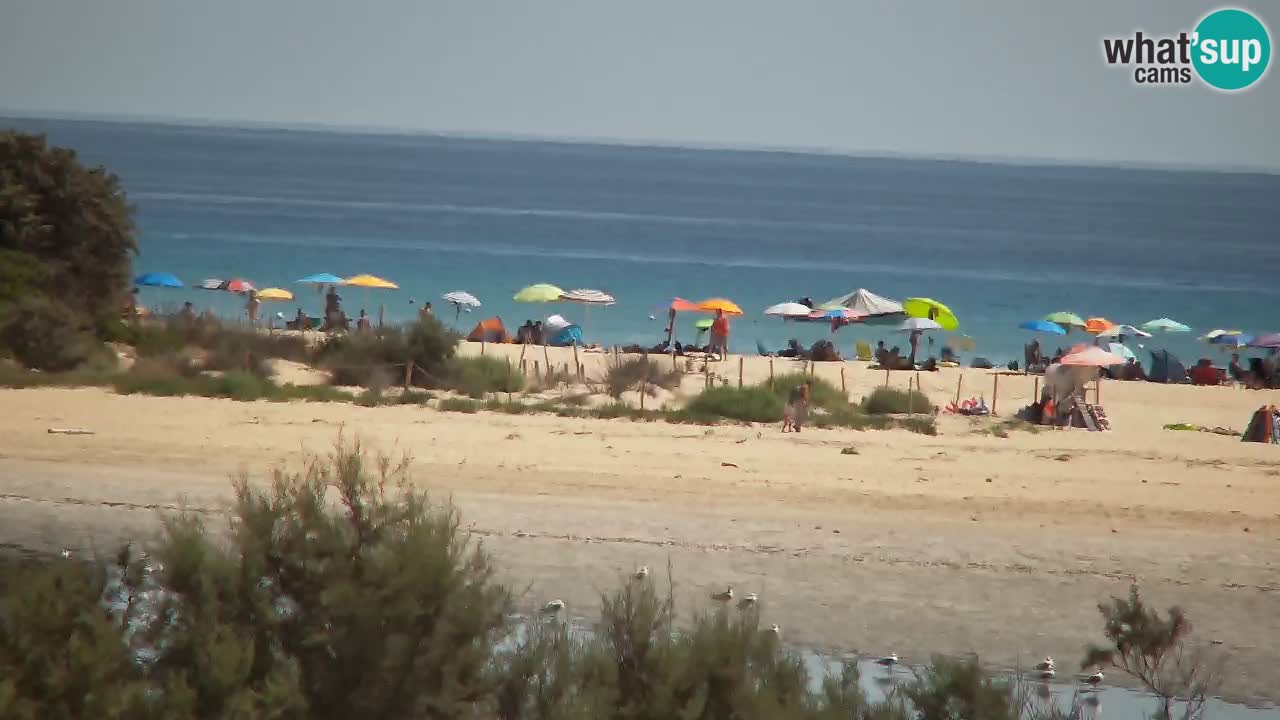 Webcam Chia – Vista en directo de la playa Su Giudeu