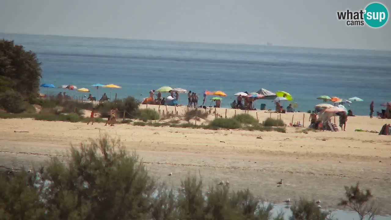 Webcam Chia – Vue en direct de la plage Su Giudeu