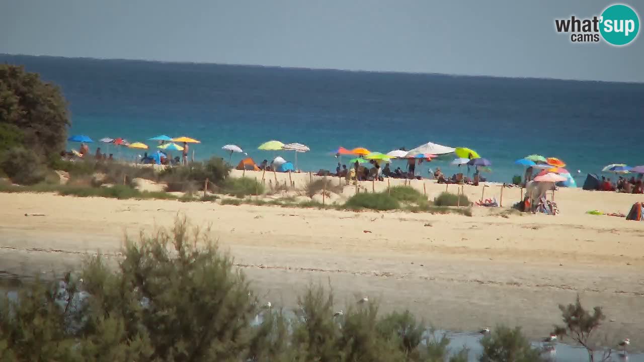 Webcam Chia – Spiaggia Su Giudeu in diretta