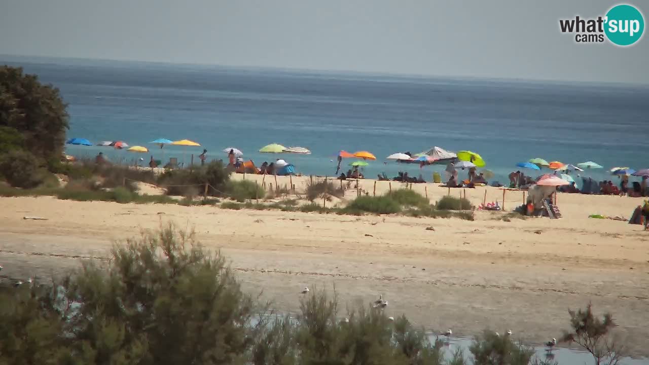 Webcam Chia – Spiaggia Su Giudeu in diretta