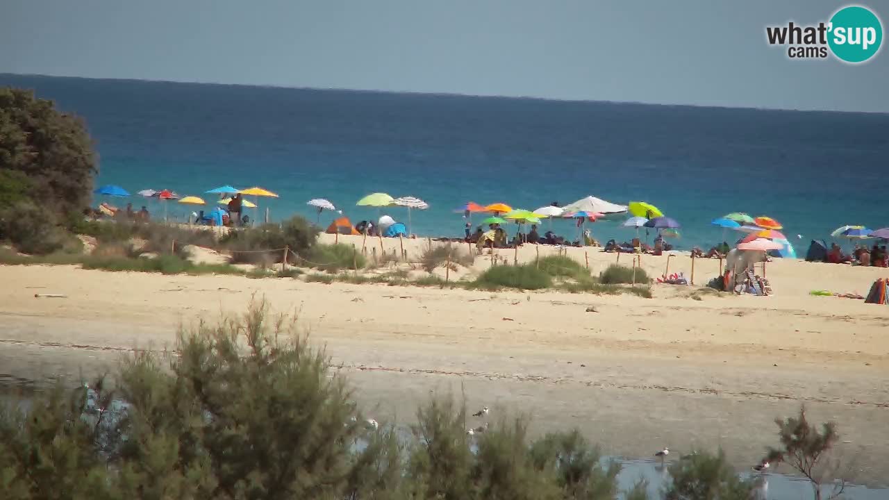Web kamera Chia – Pogled uživo na plažu Su Giudeu