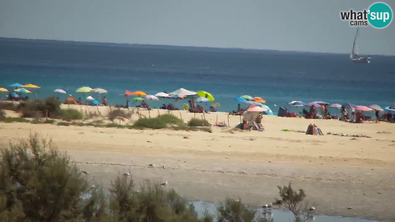 Webcam Chia – Live View of Su Giudeu Beach