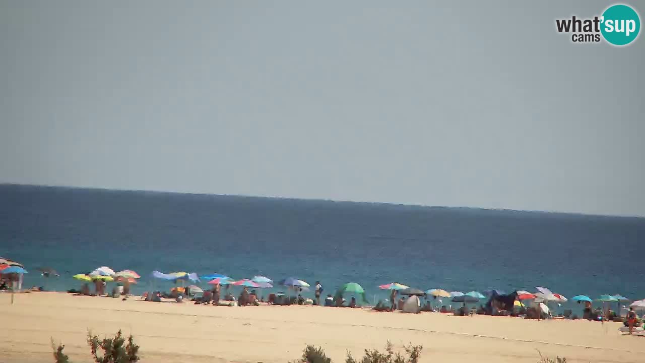 Webcam Chia – Vue en direct de la plage Su Giudeu