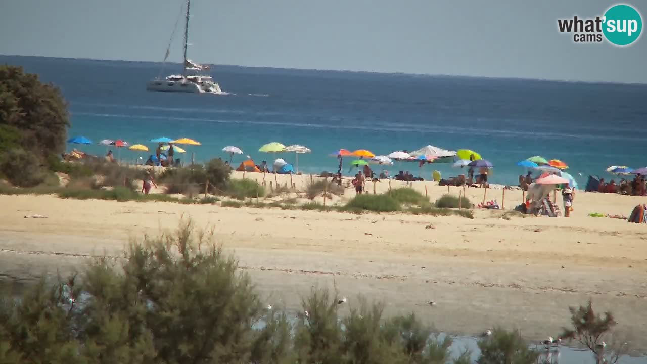 Web kamera Chia – Pogled uživo na plažu Su Giudeu