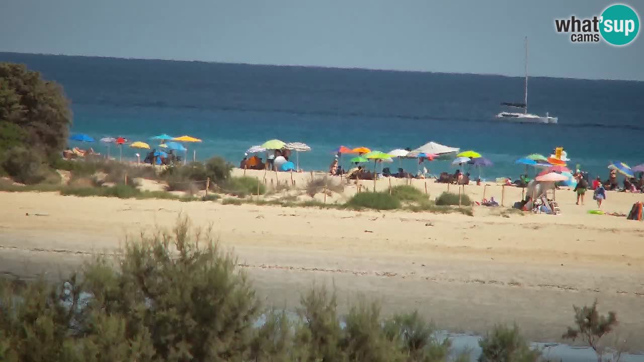 Web kamera Chia – Pogled uživo na plažu Su Giudeu