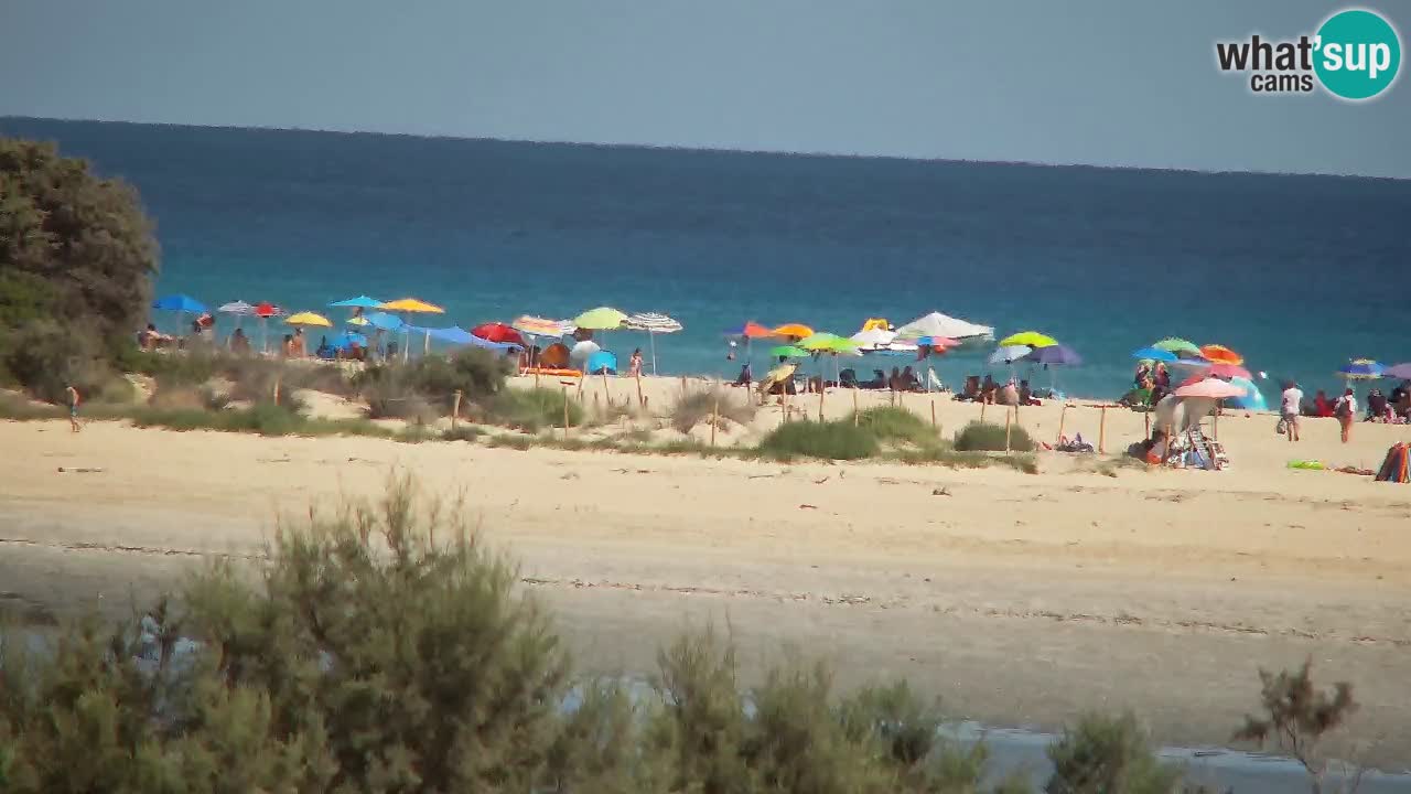 Webcam Chia – Vue en direct de la plage Su Giudeu