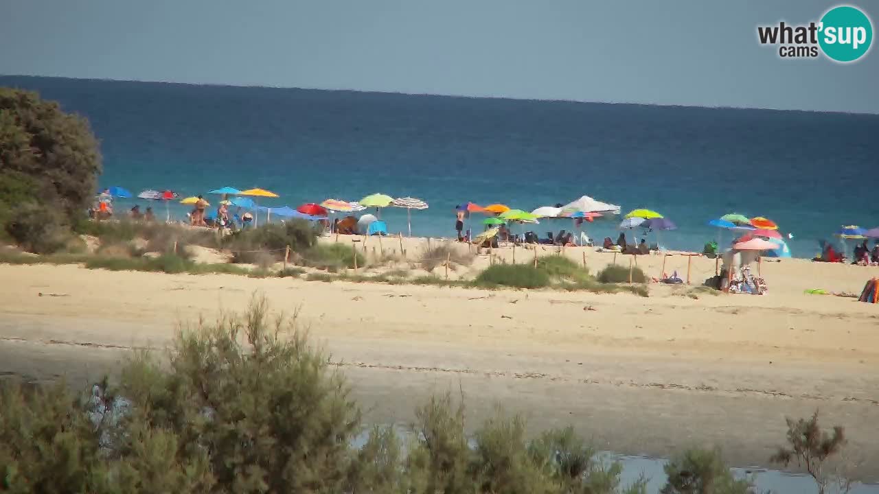 Spletna kamera Chia – Pogled v živo na plažo Su Giudeu
