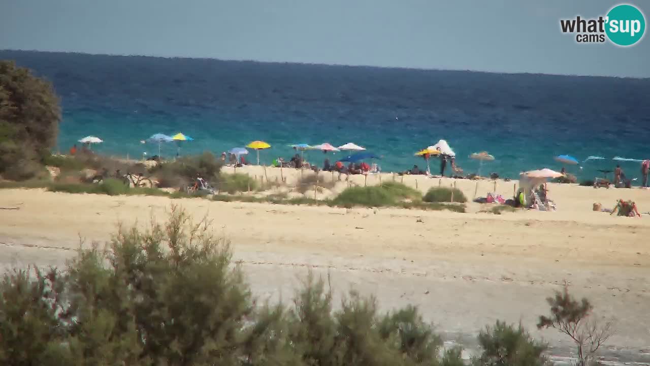 Webcam Chia – Live View of Su Giudeu Beach