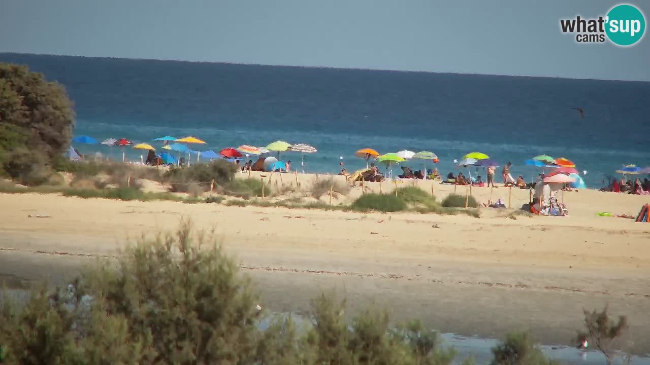 Webcam Chia – Live View of Su Giudeu Beach