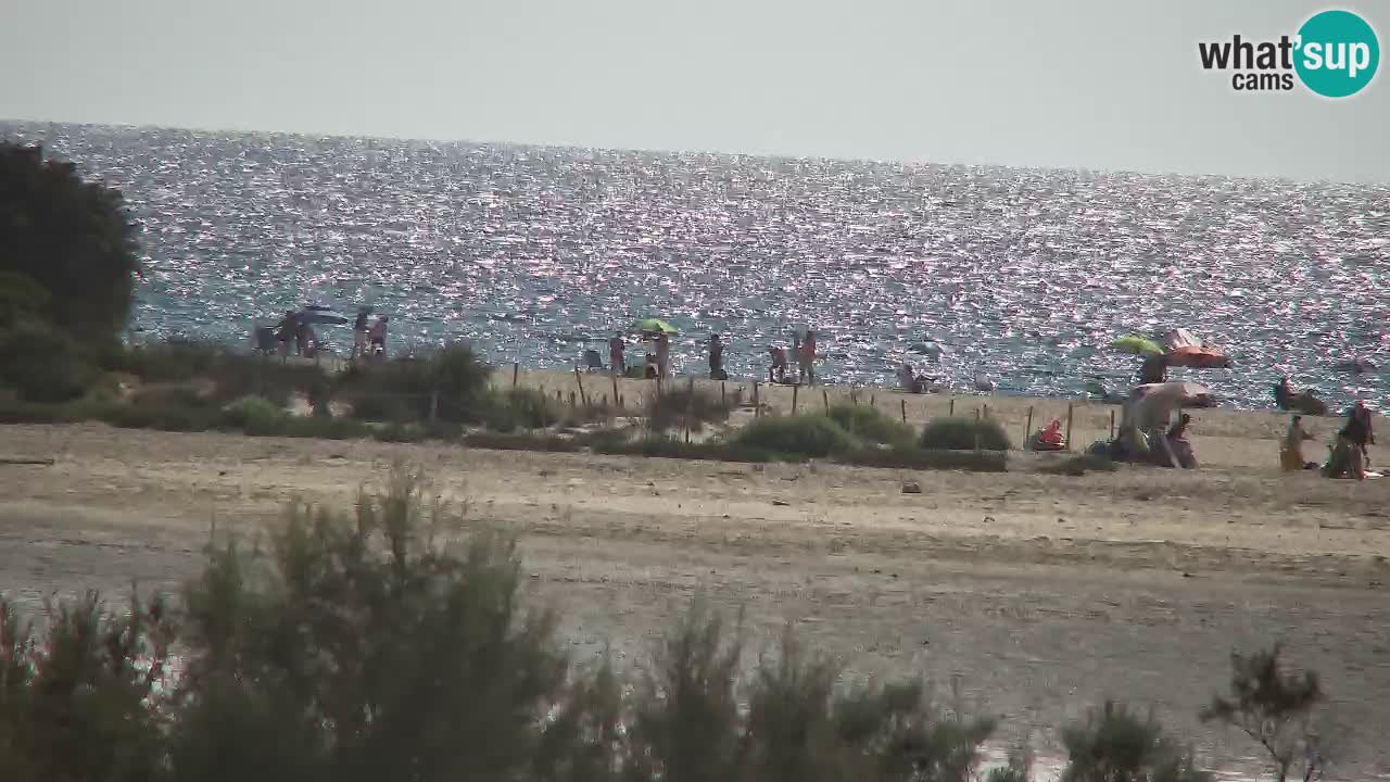 Webcam Chia – Vista en directo de la playa Su Giudeu