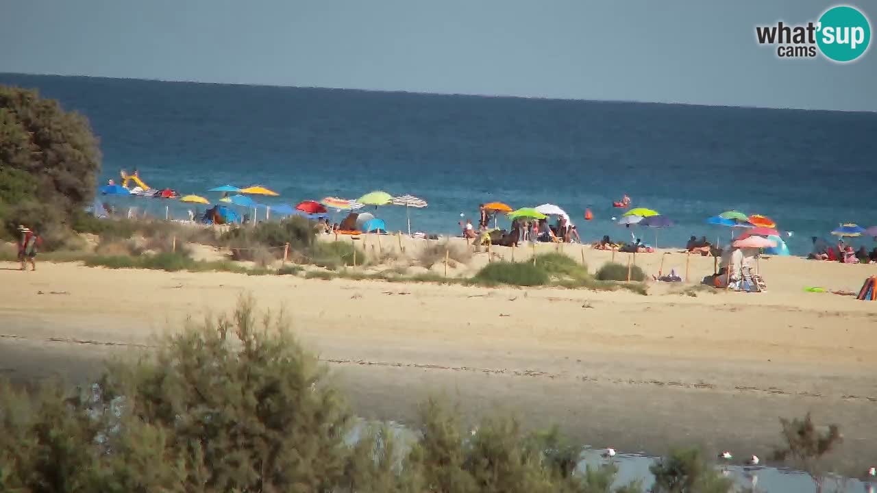 Web kamera Chia – Pogled uživo na plažu Su Giudeu