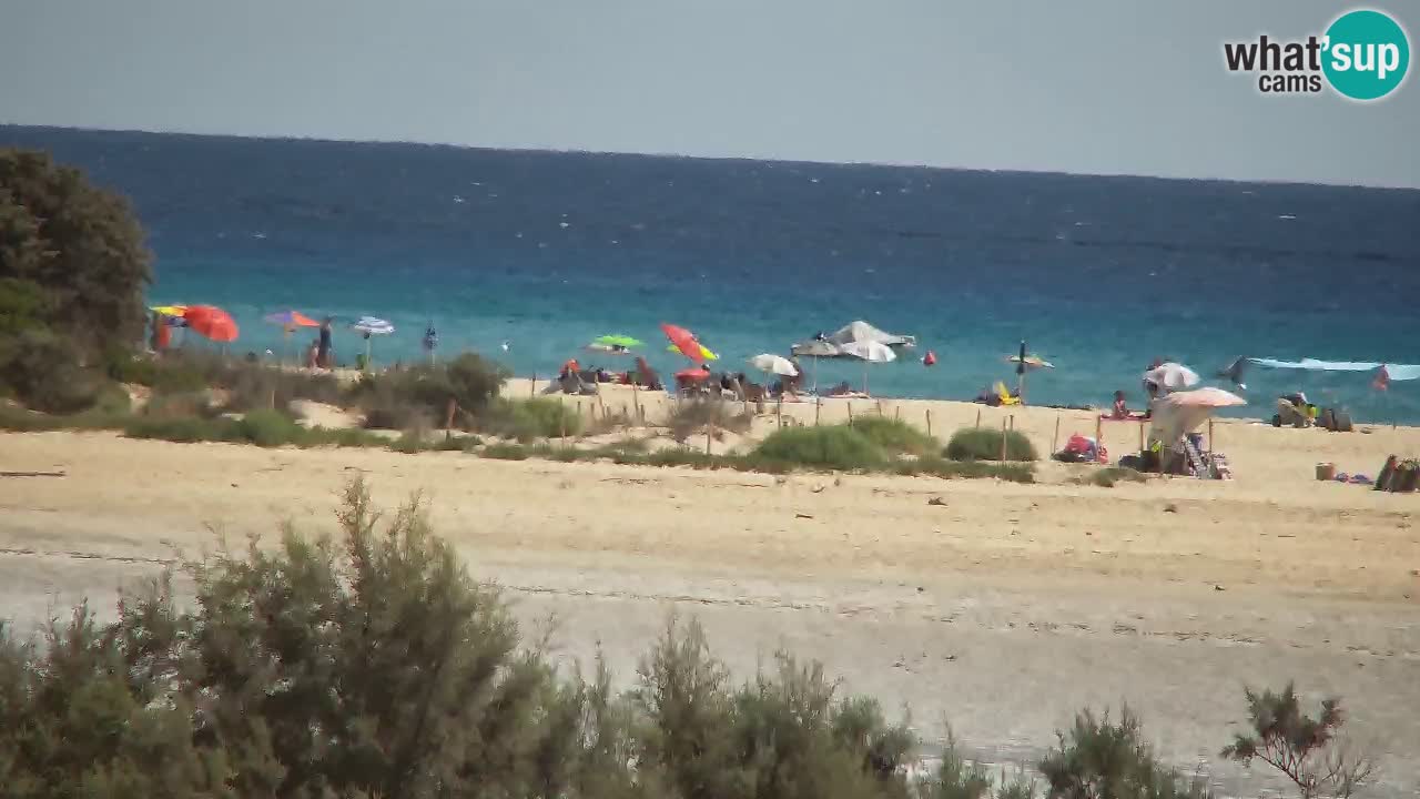 Webcam Chia – Live View of Su Giudeu Beach