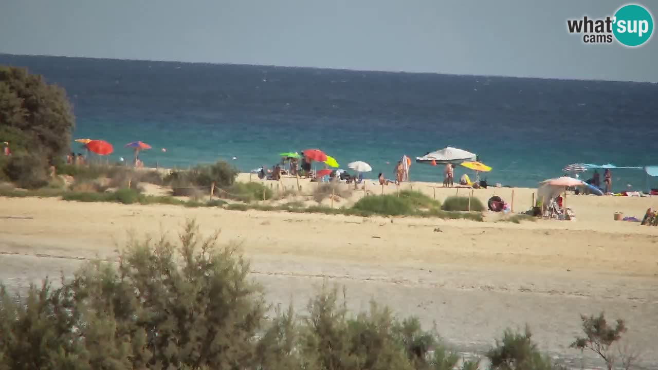 Webcam Chia – Live View of Su Giudeu Beach