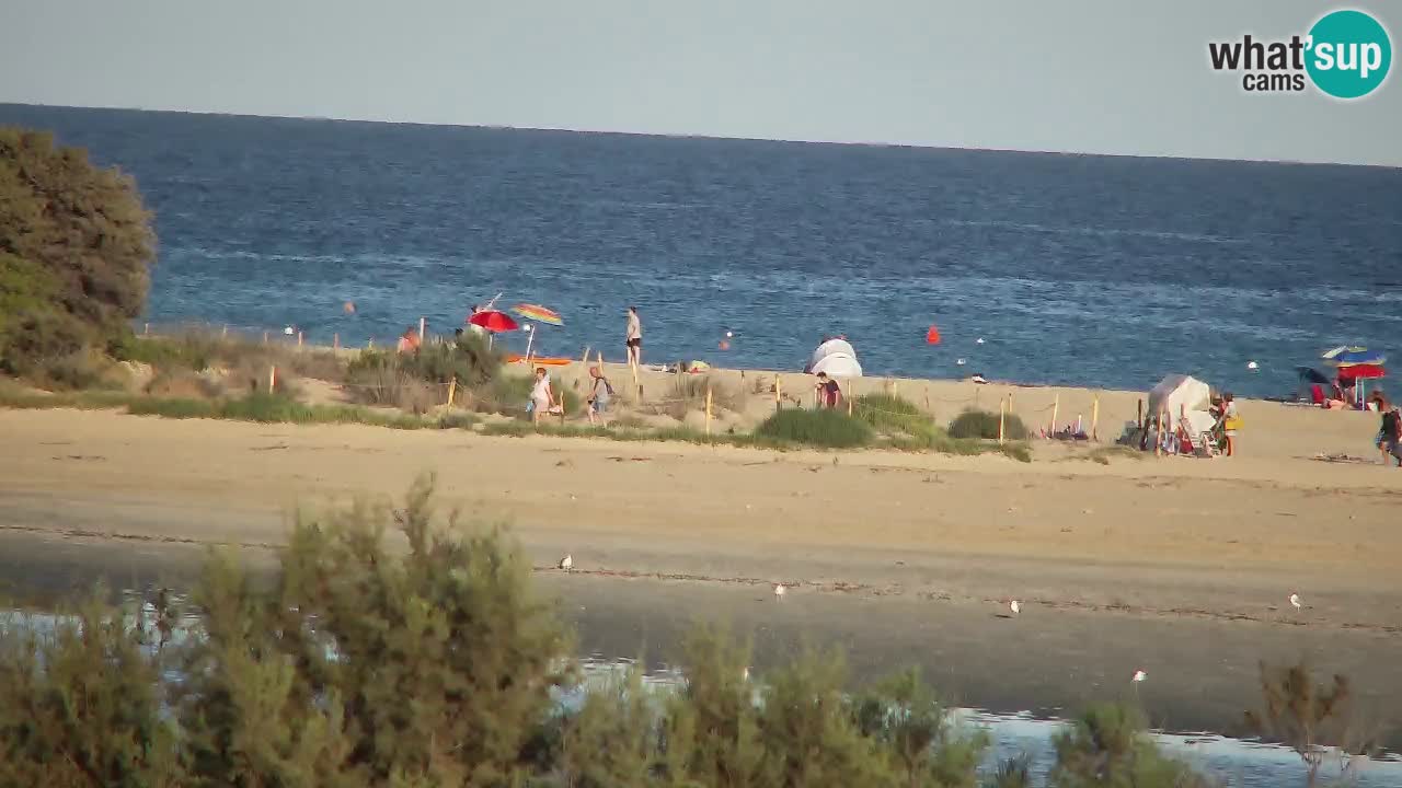Webcam Chia – Live View of Su Giudeu Beach