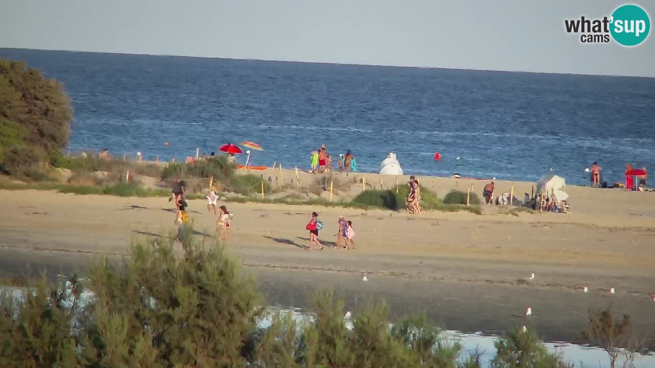 Webcam Chia – Live View of Su Giudeu Beach