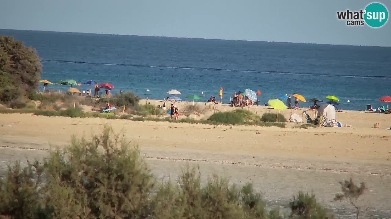 Webcam Chia – Live View of Su Giudeu Beach
