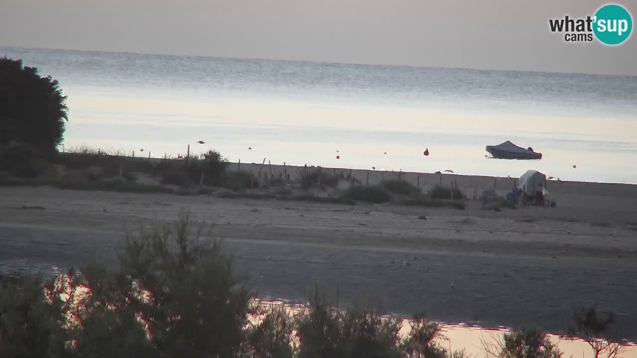 Webcam Chia – Vista en directo de la playa Su Giudeu