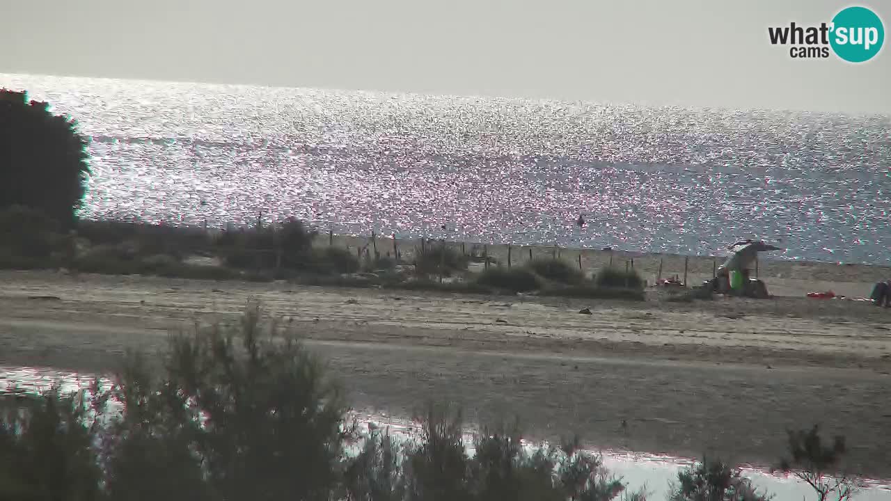 Spletna kamera Chia – Pogled v živo na plažo Su Giudeu