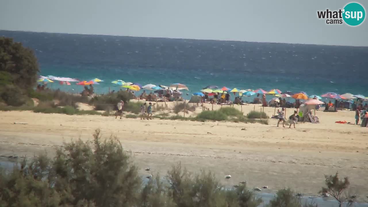 Webcam Chia – Vue en direct de la plage Su Giudeu