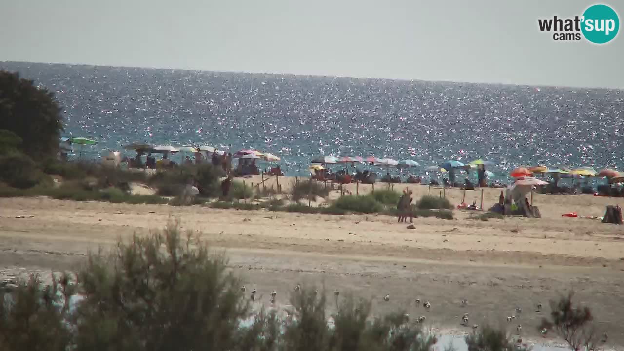 Webcam Chia – Vue en direct de la plage Su Giudeu