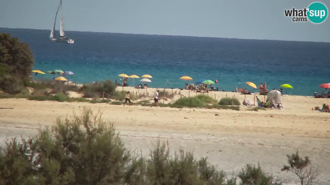 Webcam Chia – Live View of Su Giudeu Beach