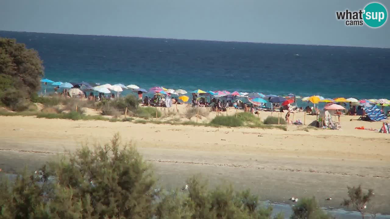 Webcam Chia – Spiaggia Su Giudeu in diretta