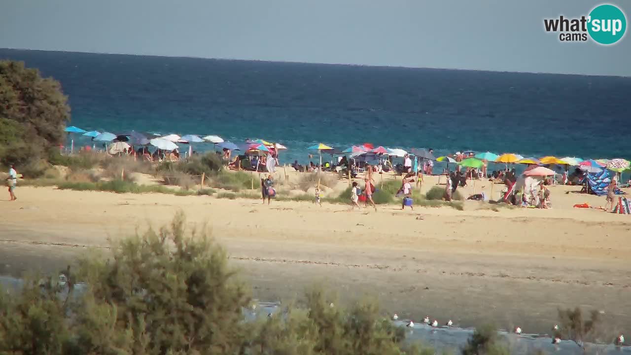 Web kamera Chia – Pogled uživo na plažu Su Giudeu