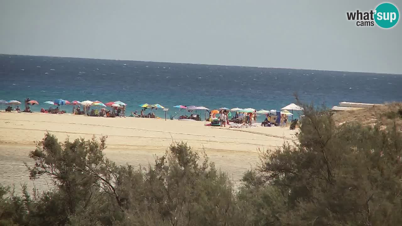 Webcam Chia – Live View of Su Giudeu Beach