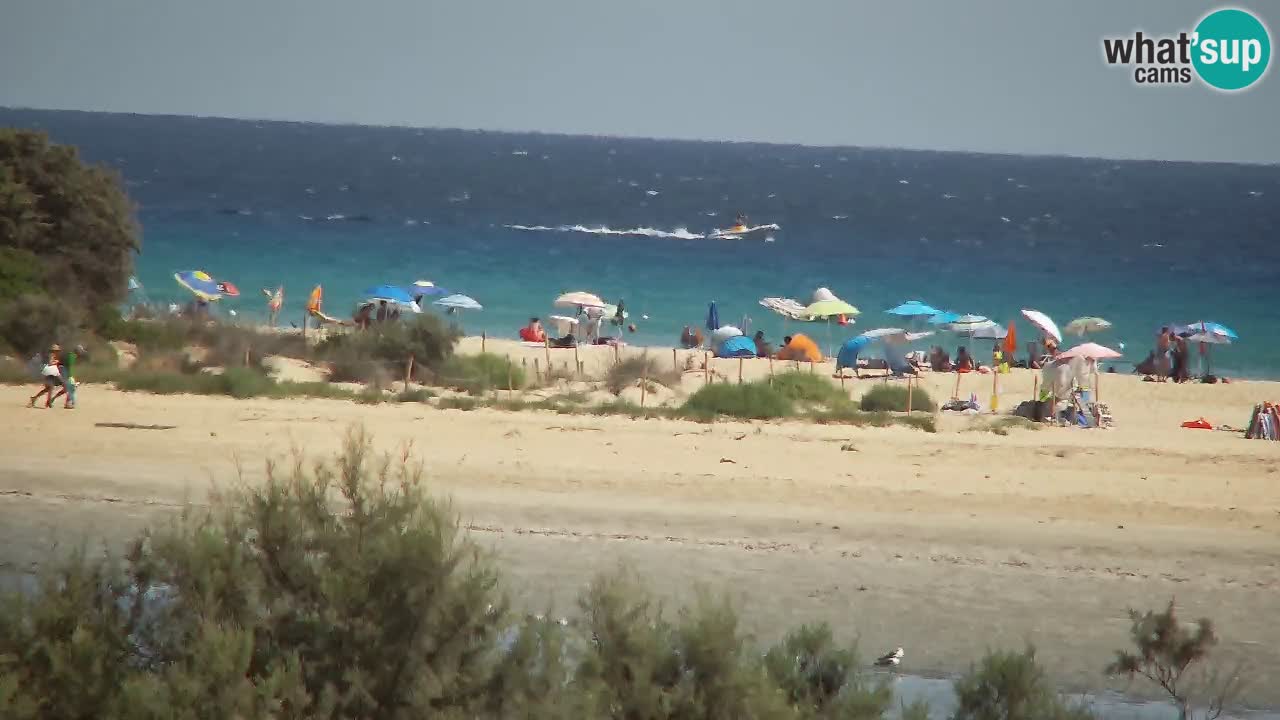 Webcam Chia – Live View of Su Giudeu Beach