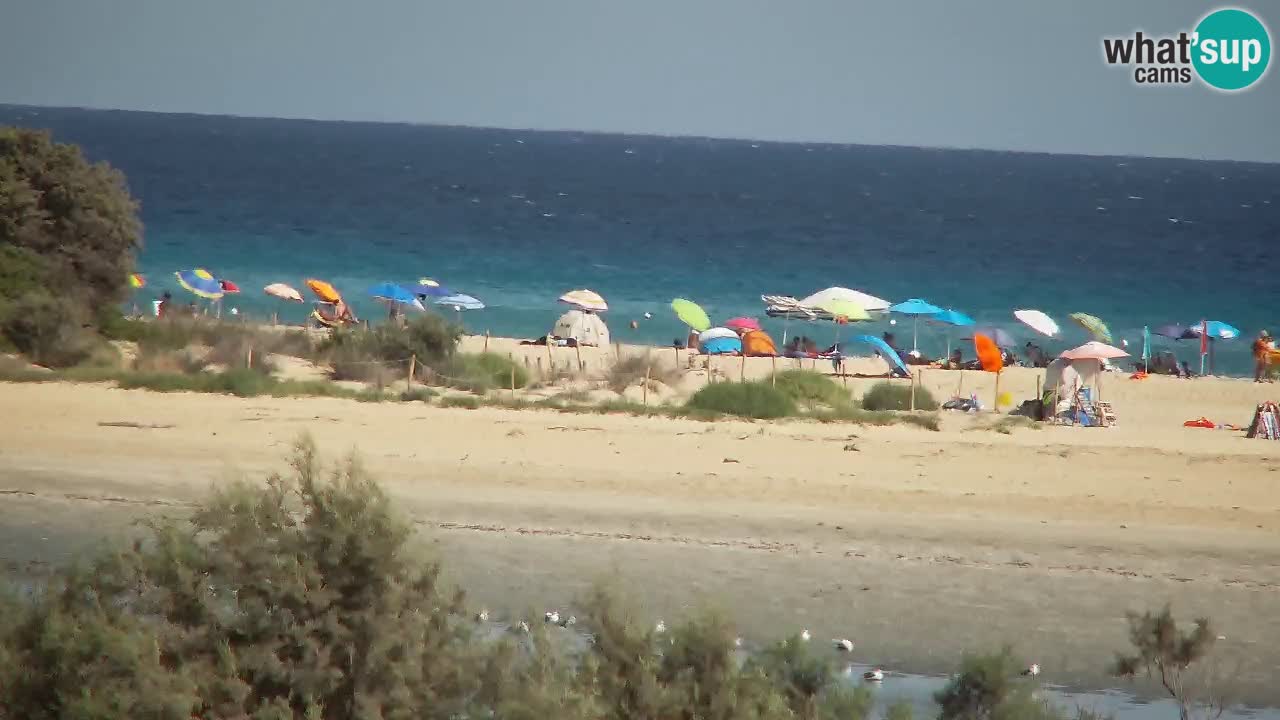 Webcam Chia – Live View of Su Giudeu Beach