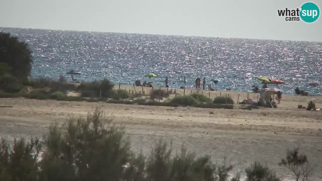 Webcam Chia – Vue en direct de la plage Su Giudeu