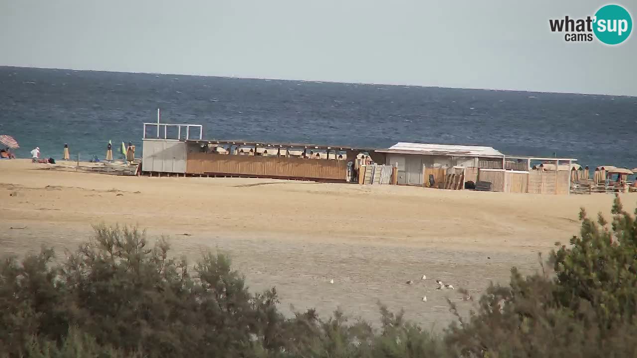 Webcam Chia – Vue en direct de la plage Su Giudeu
