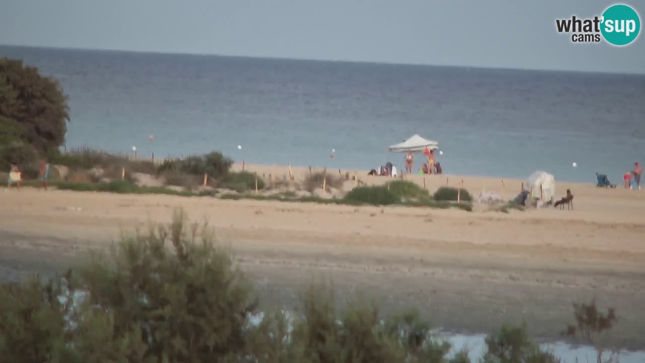 Webcam Chia – Vista en directo de la playa Su Giudeu