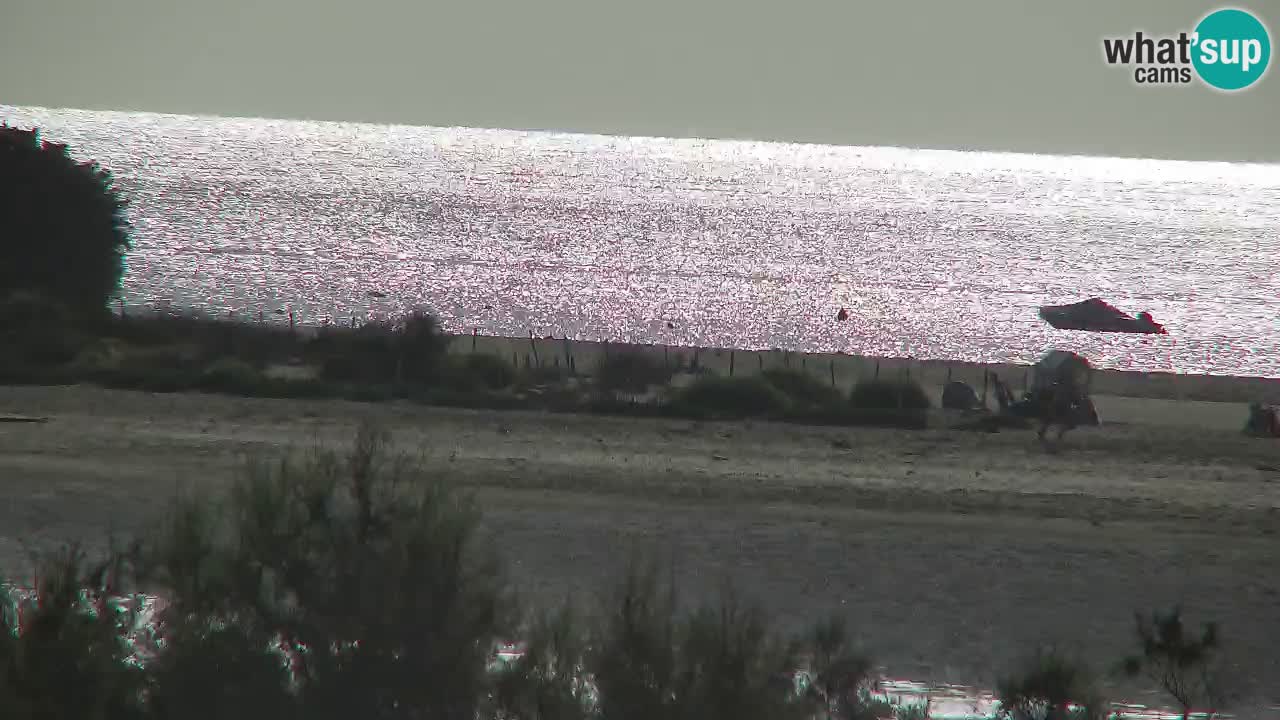 Webcam Chia – Vista en directo de la playa Su Giudeu