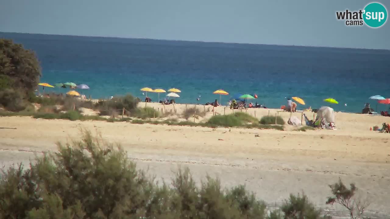 Webcam Chia – Liveblick auf den Strand Su Giudeu