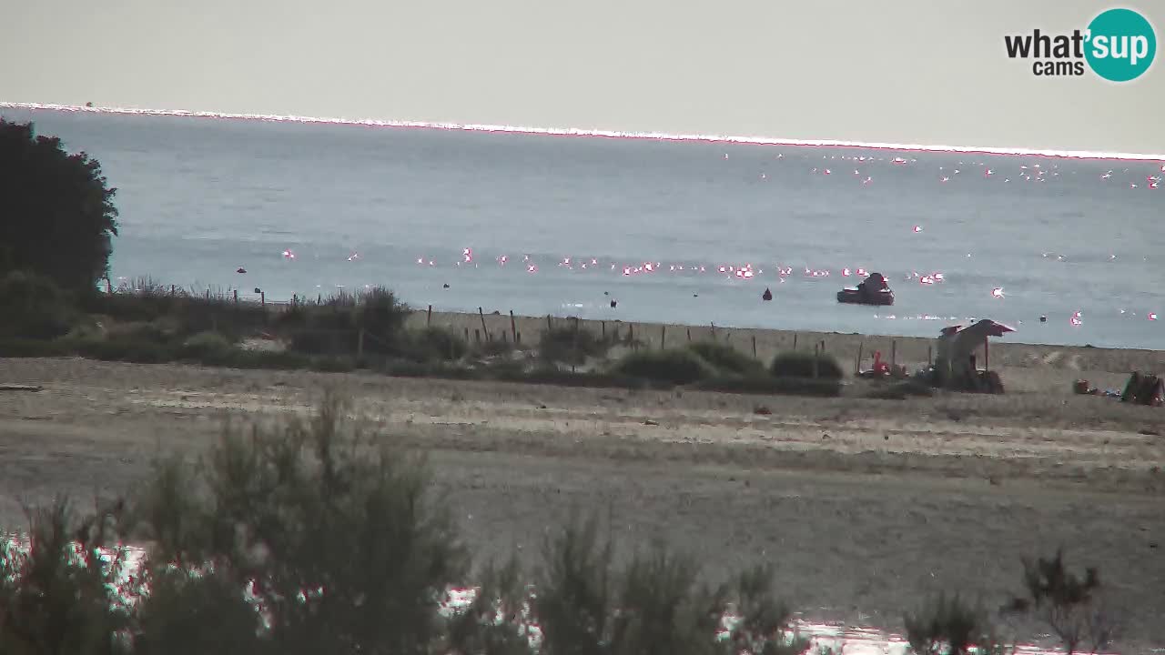 Webcam Chia – Spiaggia Su Giudeu in diretta